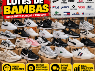 Vendo lotes de zapatos de marca