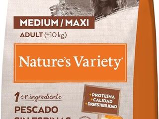 Palé de 24 devoluciones de amazon · hogar · 2.010 € de valor en amazon