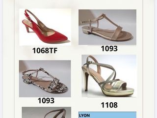 Lote de 9,350 pares de zapatos de mujer de daniela vega