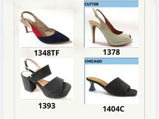 Lote de 9,350 pares de zapatos de mujer de daniela vega