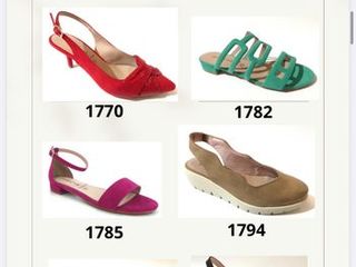Lote de 9,350 pares de zapatos de mujer de daniela vega