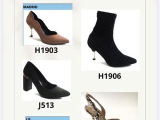 Lote de 9,350 pares de zapatos de mujer de daniela vega