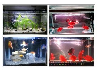 Lote 21 tubos led impermeables para acuario 48 cm blancos – nuevos